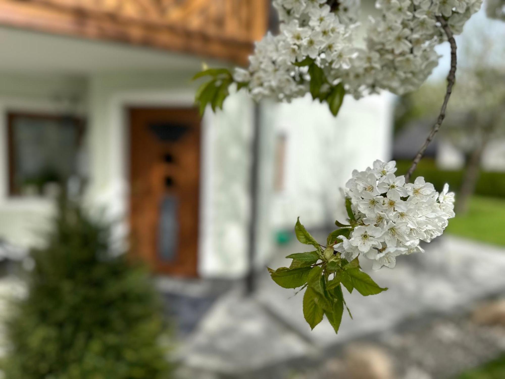 Romantic Chalet - Alpine Getaway Salzkammergut Viechtwang エクステリア 写真